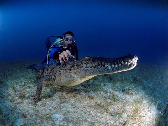 ���� 6398134 ������� Den, 53 ����, ���� ���������� � �����������