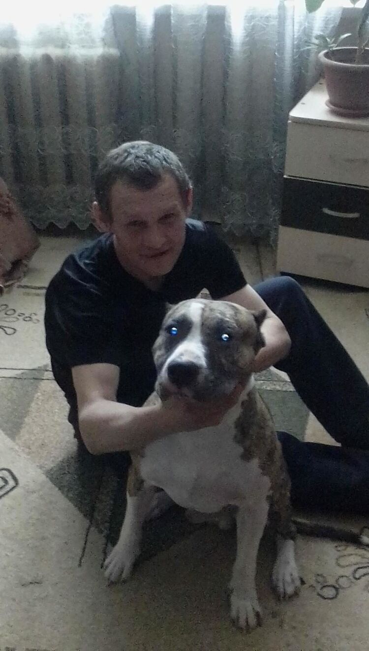 ���������� �������, ���� ������� �������, 49 ���, ������������ ��� ������, ����� � ���������