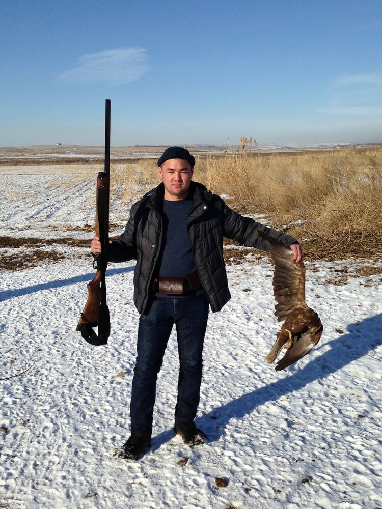 ���������� ������, ���� ������� �����, 38 ���, ������������ ��� ����� � ���������, c�������� ���������