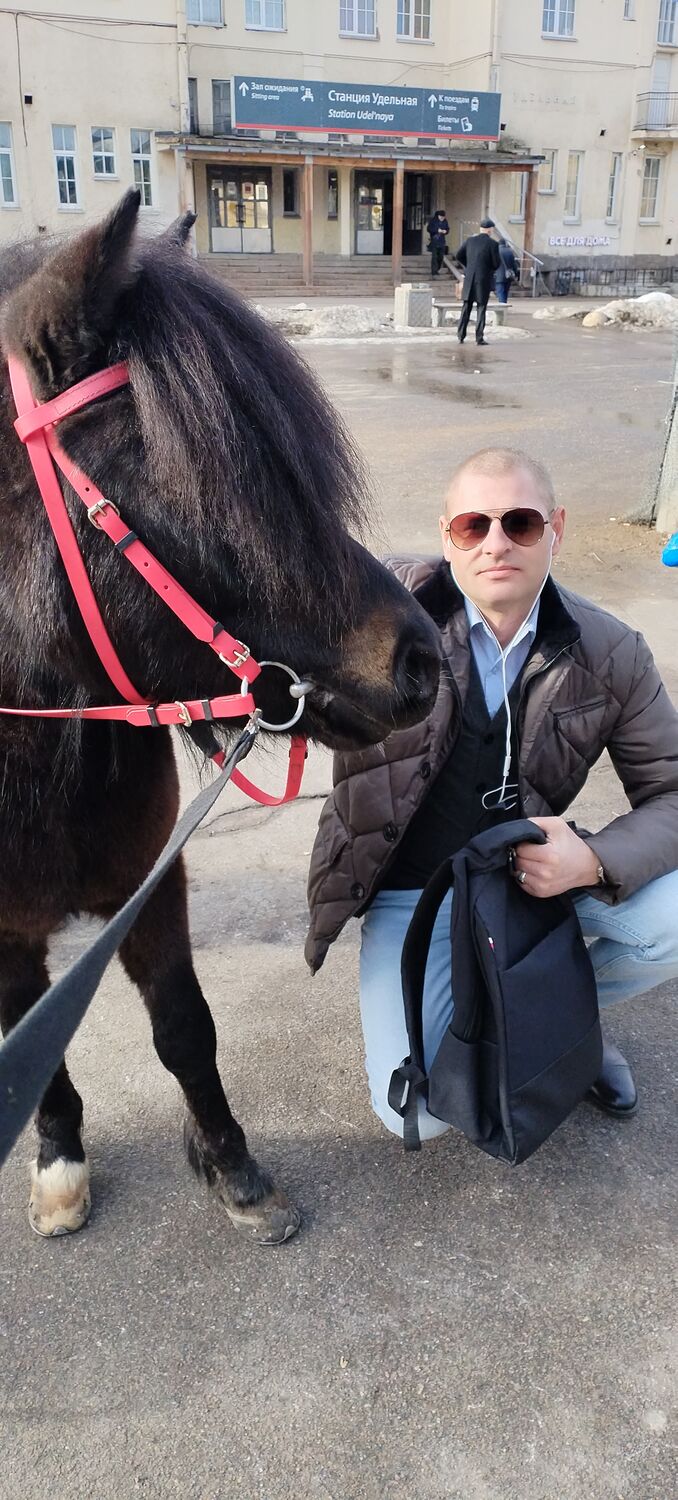 ���� 55913374 ������� �������, 43 ����, ���� ���������� � �����-����������