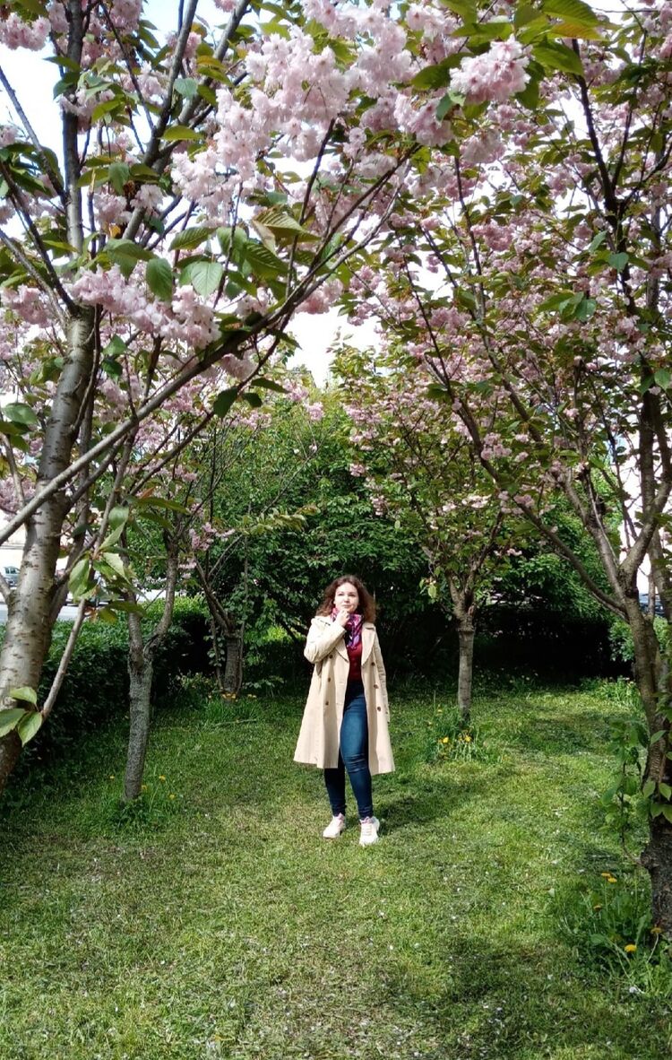 ���������� �����-���������, ���� ������� ���������, 28 ���, ������������ ��� ������, ����� � ���������