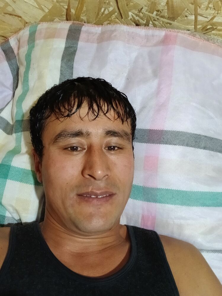  47376594  , 36 ,    
