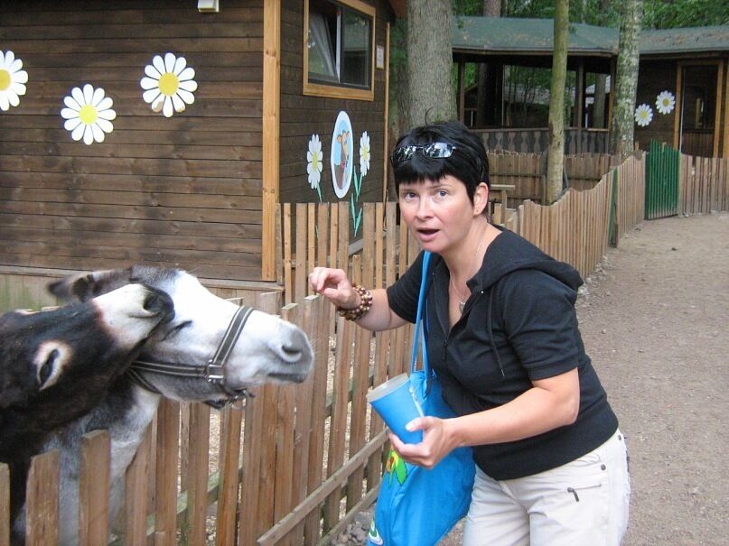  -,   , 59 ,   ,   , c 