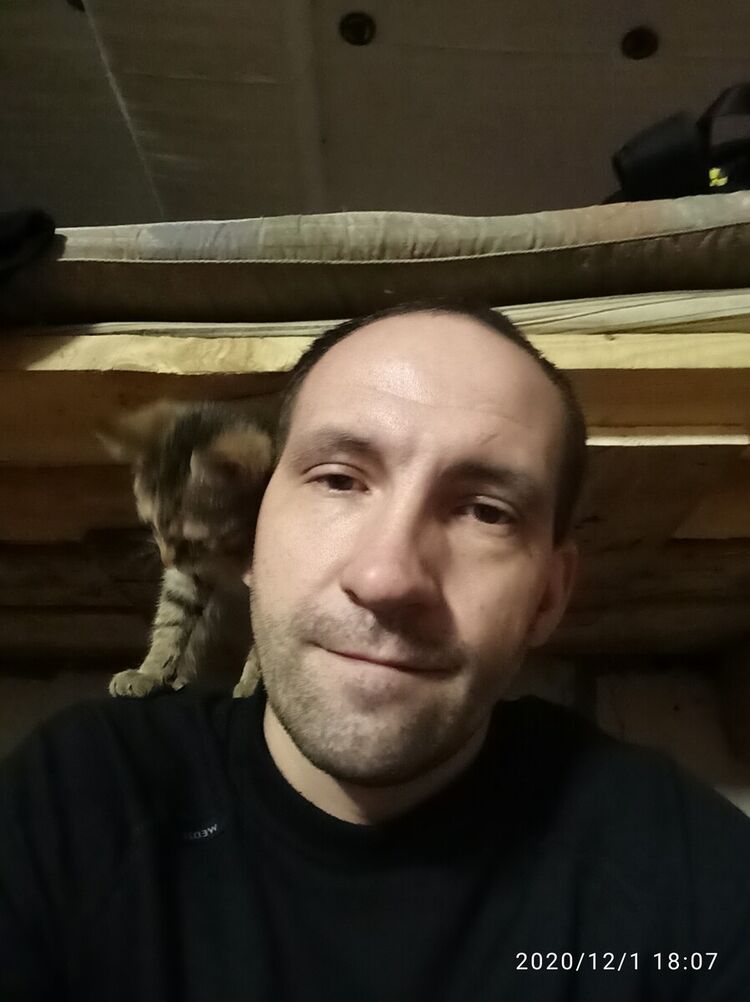  21810344  , 39 ,    -