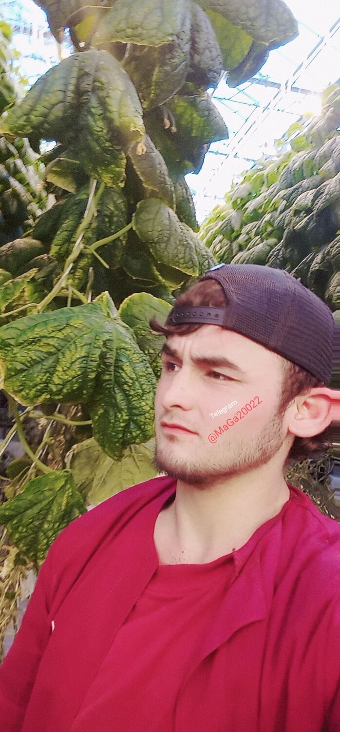 ���������� �����-���������, ���� ����� ����, 23 ����, ������������ ��� ������, ����� � ���������