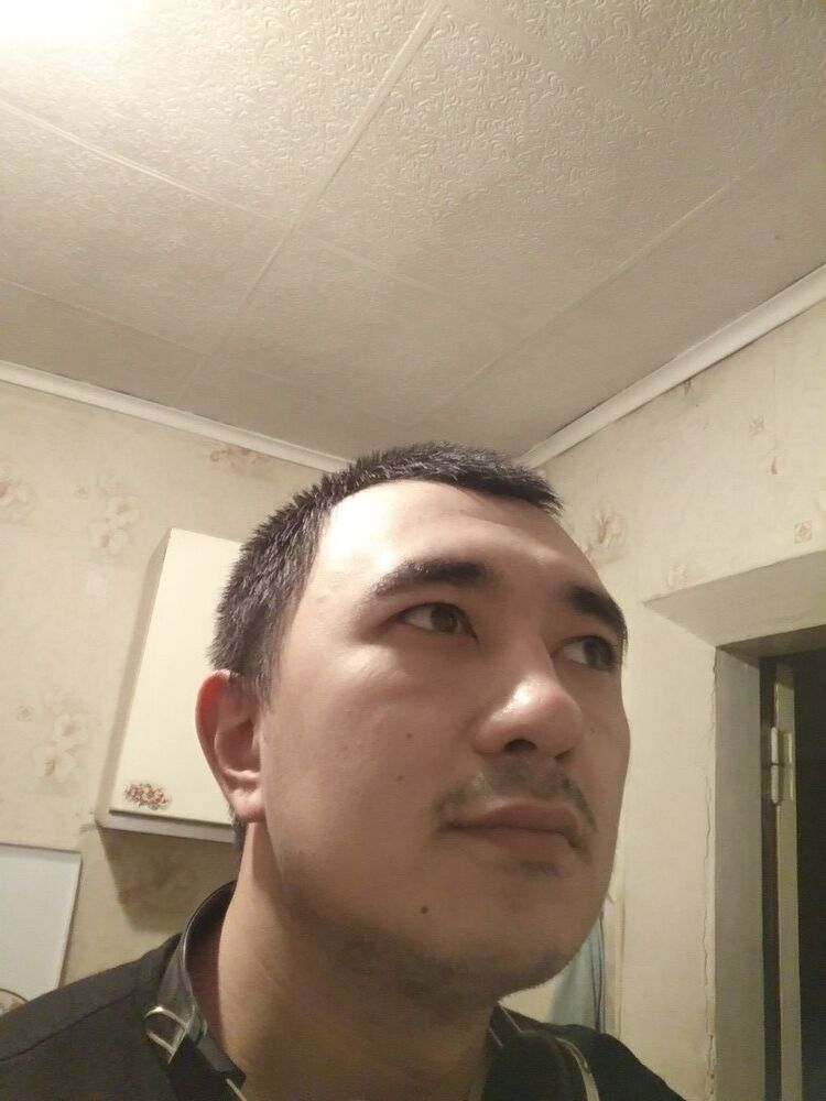  15631164  , 33 ,    