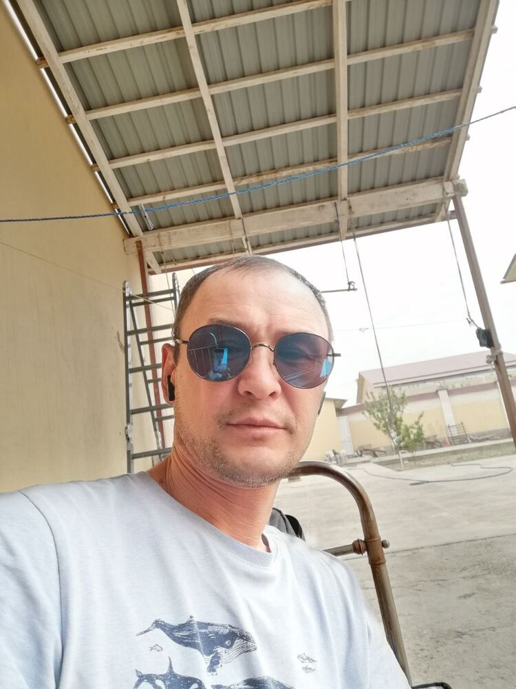  34397534  , 43 ,    