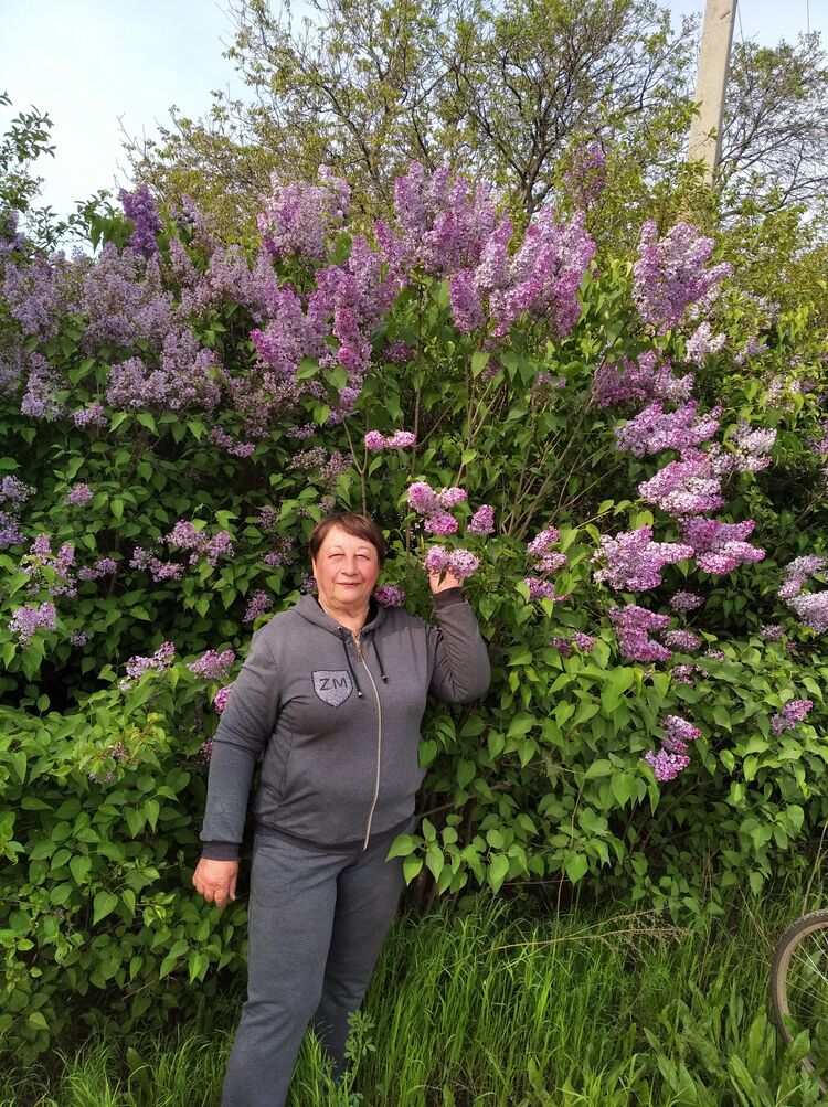 ���������� �������, ���� ������� �����, 65 ���, ������������ ��� ����� � ���������, c�������� ���������