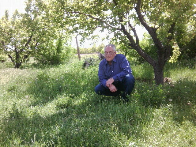 ���� 5995884 ������� ����, 56 ���, ���� ���������� � �������