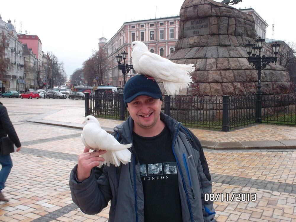 ���������� ��������������, ���� ������� ����, 41 ���, ������������ ��� ������, ����� � ���������, c�������� ���������