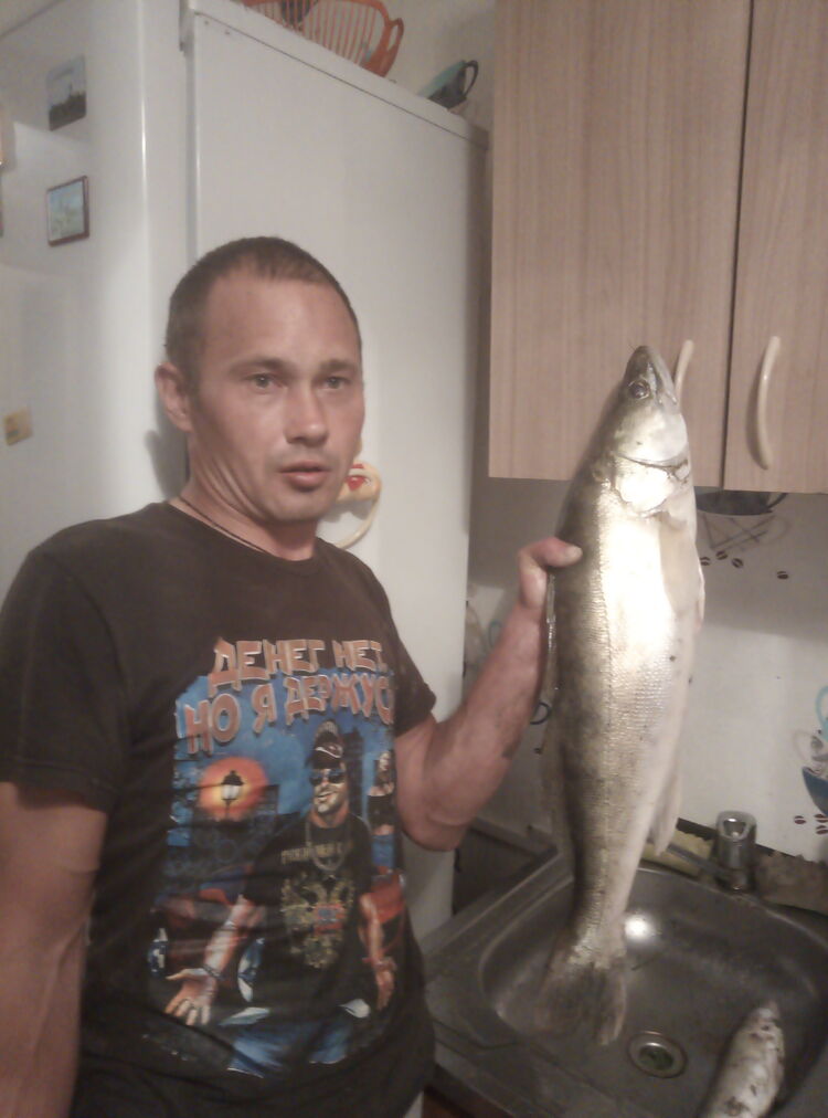 ���� 31755754 ������� �����, 38 ���, ���� ���������� � �����