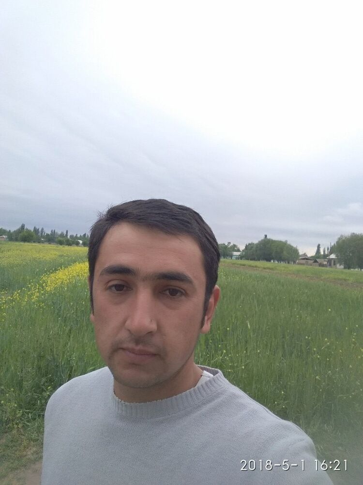  15392874  , 38 ,    