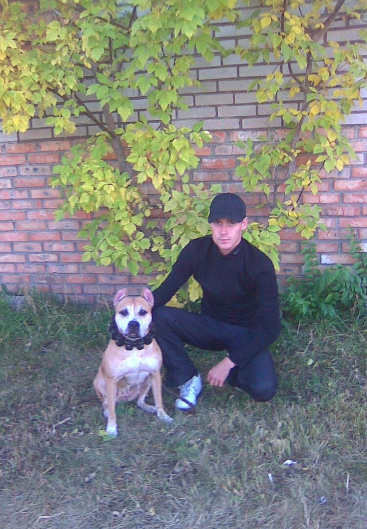 ���� 54980024 ������� ����, 38 ���, ���� ���������� � �����������