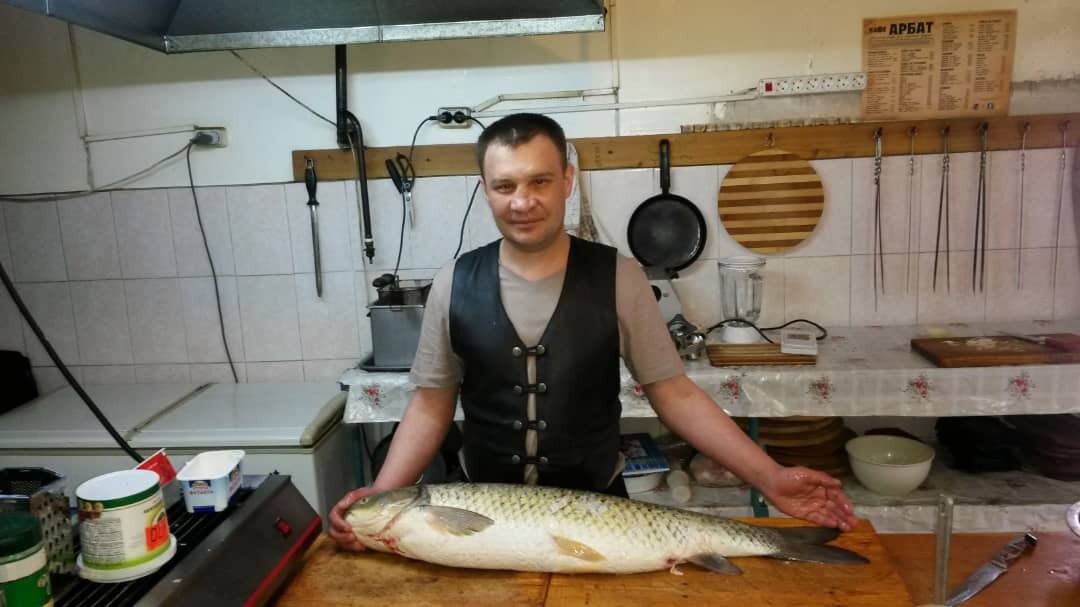  ,   , 48 ,     