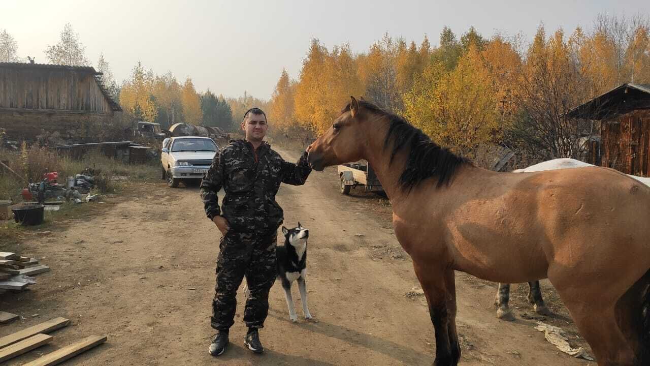  49250844  , 34 ,    