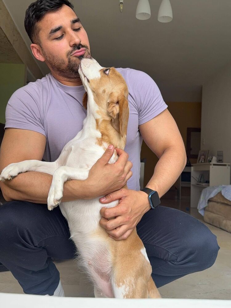 ���� 55429054 ������� ����, 35 ���, ���� ���������� � ������