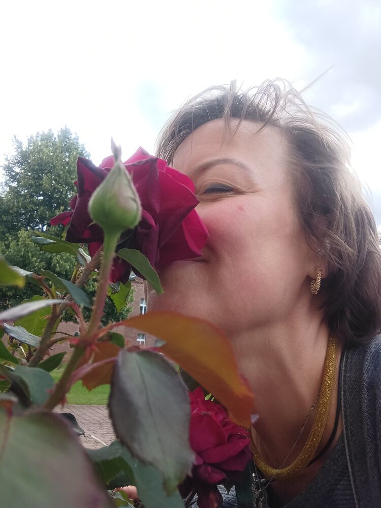 ���������� Merzig, ���� ������� �����, 48 ���, ������������ ��� ����� � ���������, c�������� ���������