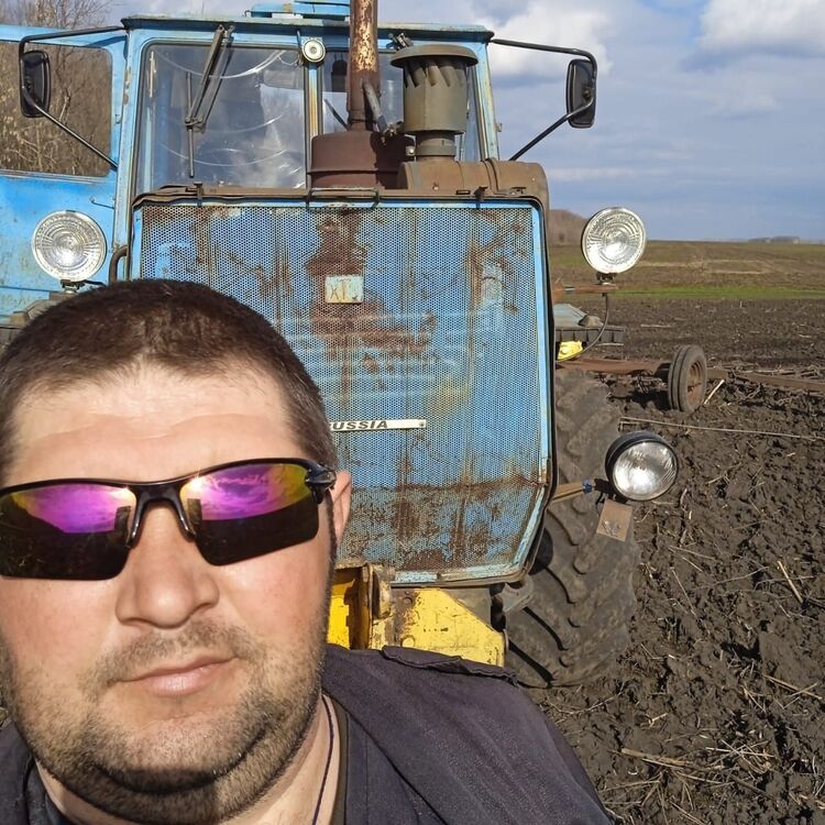  53251274  , 37 ,    