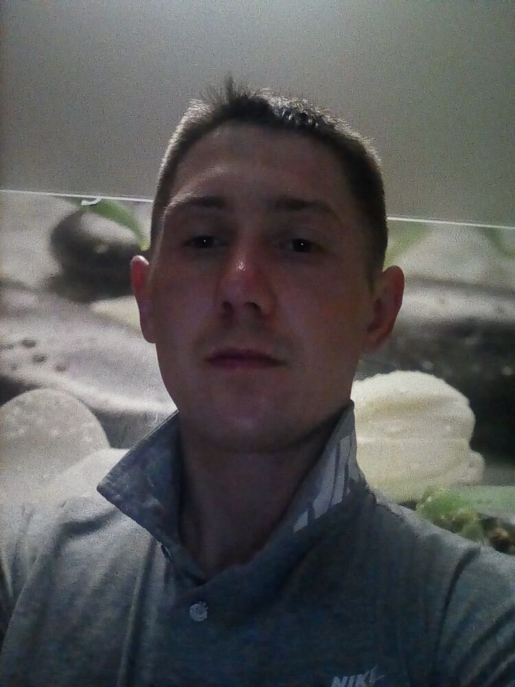  46586084  , 34 ,    