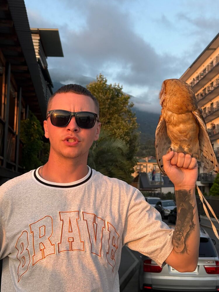 ���� 52616054 ������� �������, 26 ���, ���� ���������� � �����