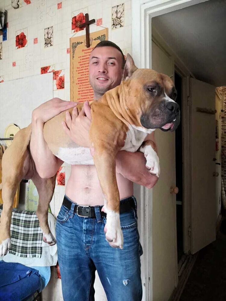 ���������� ������, ���� ������� �����, 44 ����, ������������ ��� ������, ����� � ���������, c�������� ���������