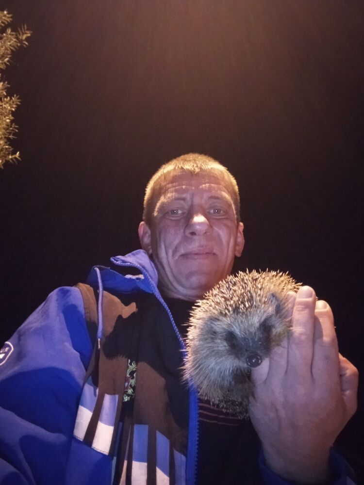 ���� 47097354 ������� �������, 43 ����, ���� ���������� � ������