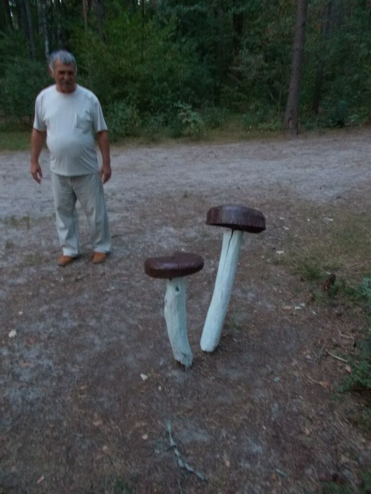 ���������� ������, ���� ������� �������, 73 ����, ������������ ��� ���������