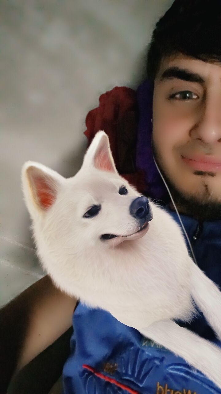 ���������� ������, ���� ����� Ali, 22 ����, ������������ ��� ������, ����� � ���������