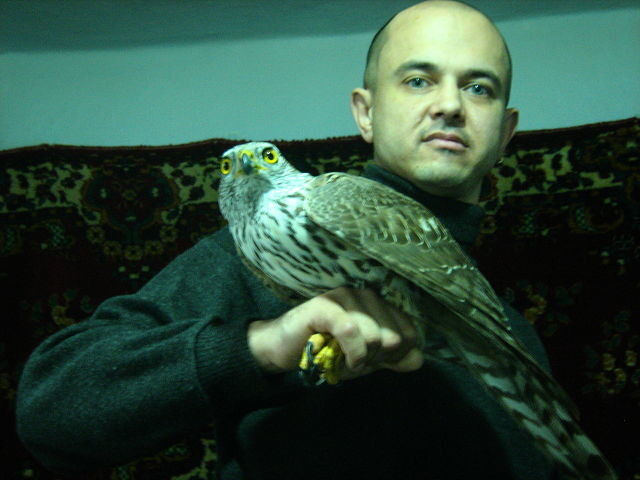  ,   , 46 ,   