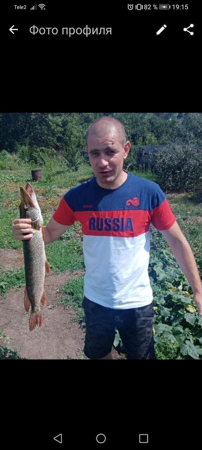 ���� 41558284 ������� �������, 38 ���, ���� ���������� � ������