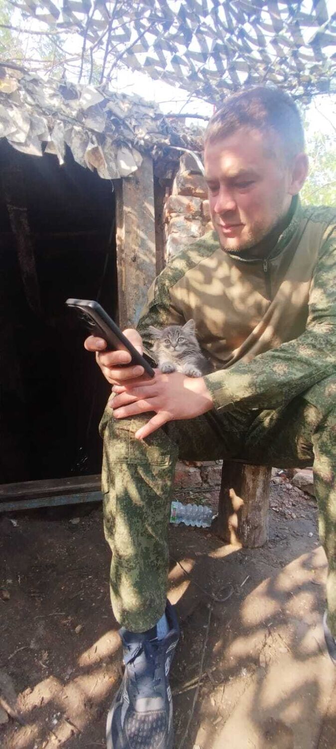 ���� 56248564 ������� �������, 35 ���, ���� ���������� � ����-����������