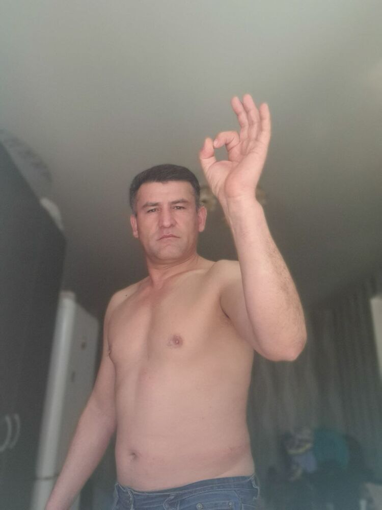  23394994  , 51 ,    