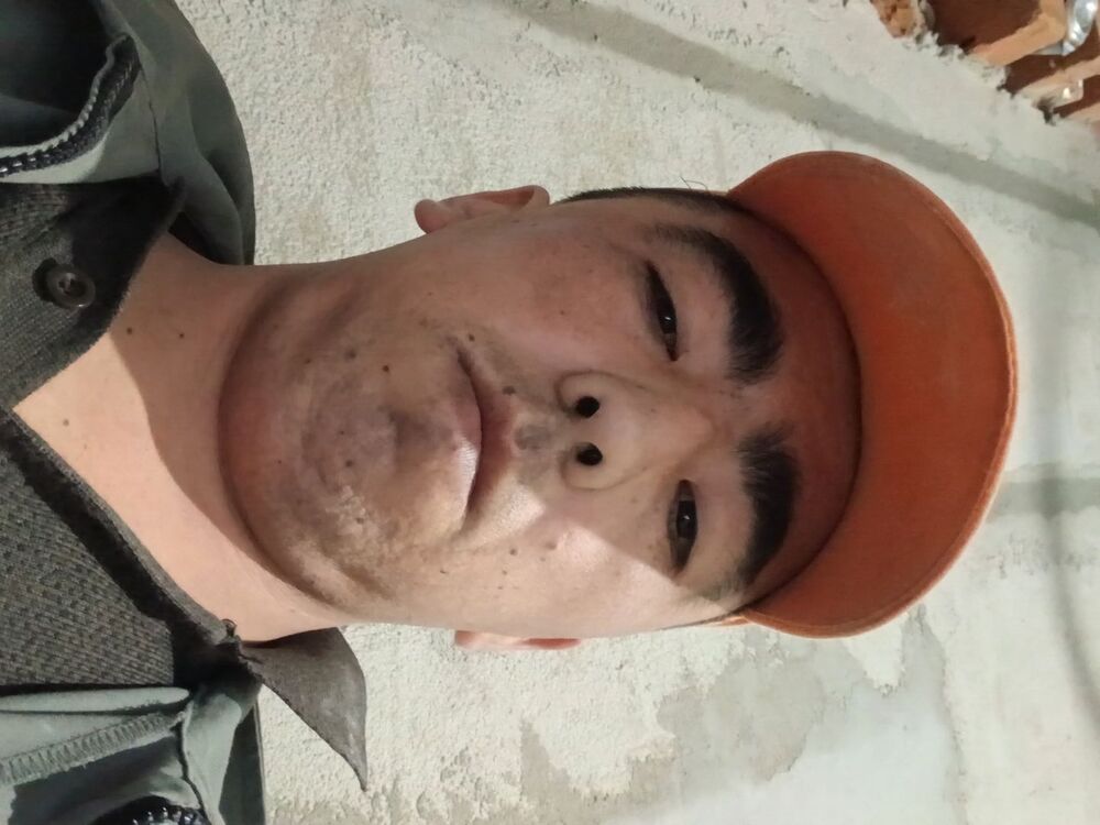  53630644  , 29 ,    