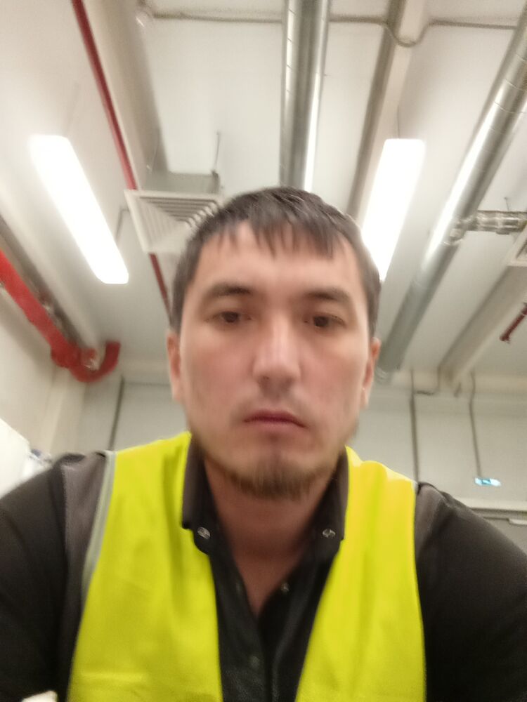  51541584  , 31 ,    