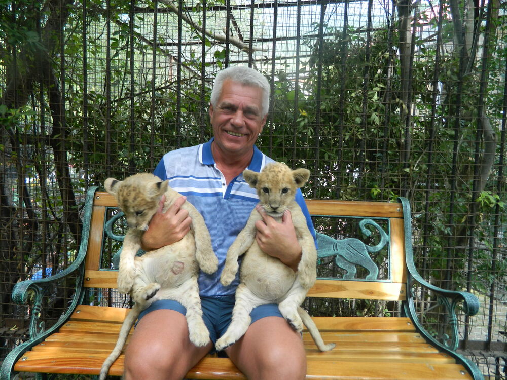 ���������� ������, ���� ������� ��������, 65 ���, ������������ ��� ������, ����� � ���������, c�������� ���������, ���������