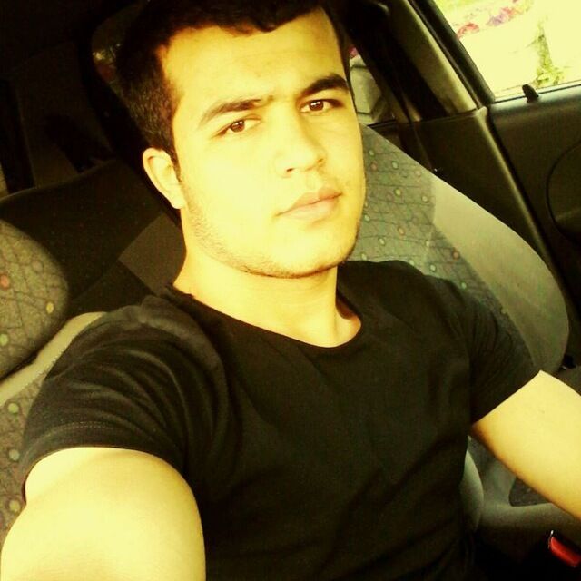  33073644  , 31 ,    