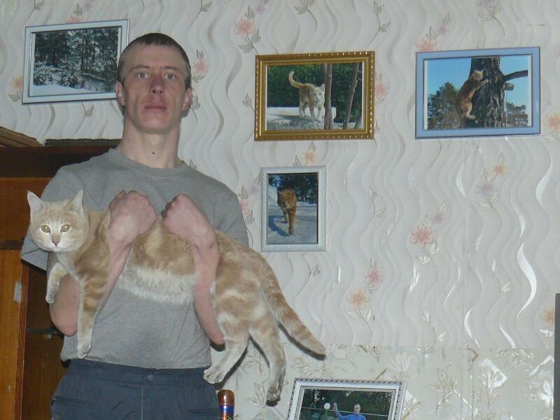 ���� 4530584 ������� ������, 43 ����, ���� ���������� � �������������