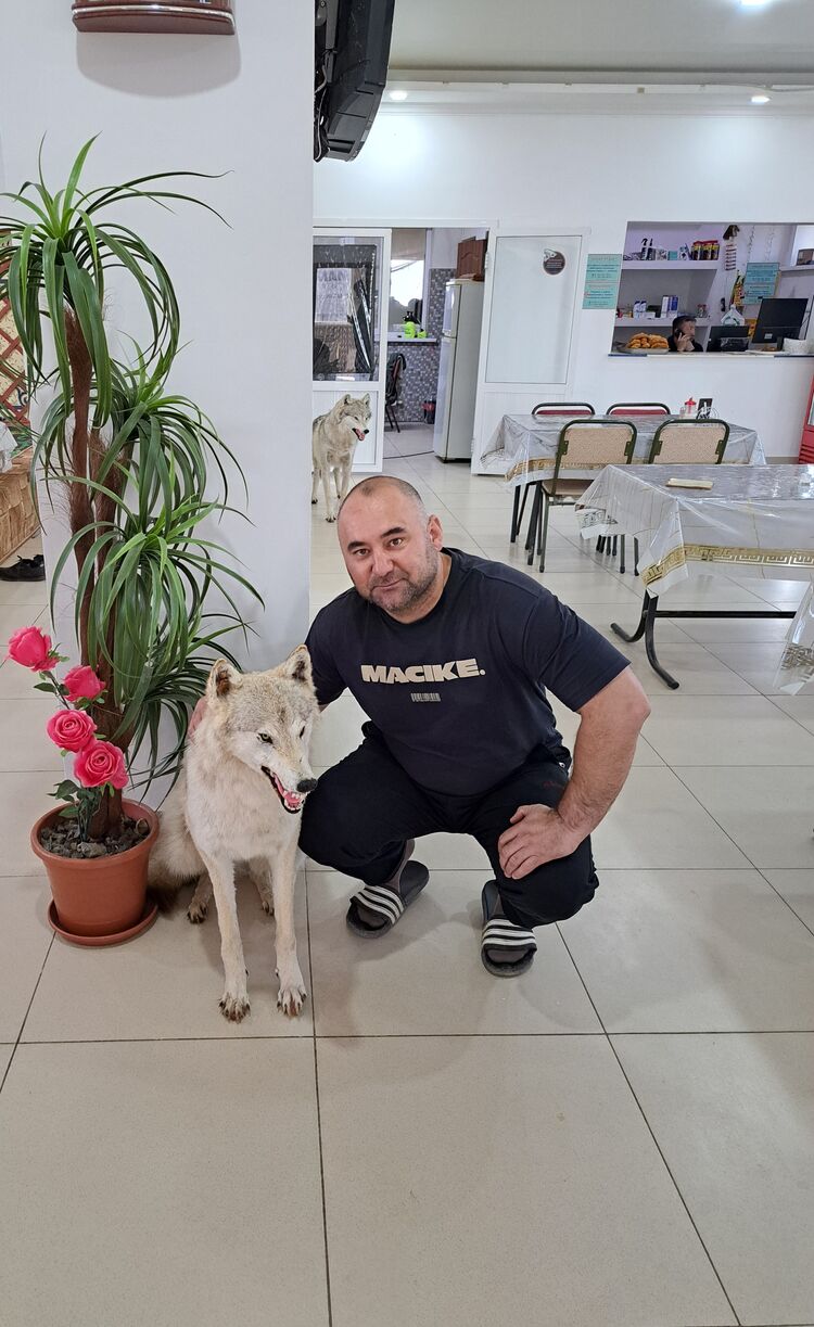 ,   , 40 ,   ,   