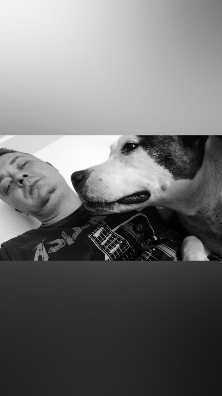 ���������� �����-���������, ���� ������� ������, 38 ���, ������������ ��� ������, ����� � ���������