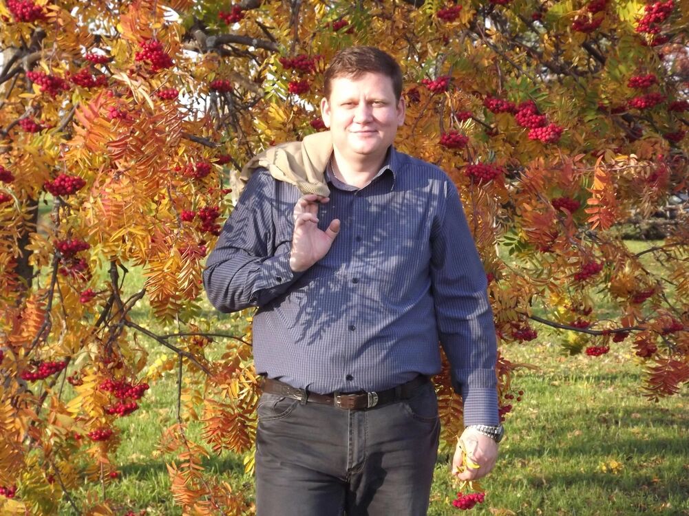 ���� 55861454 ������� ������, 48 ���, ���� ���������� � ���������