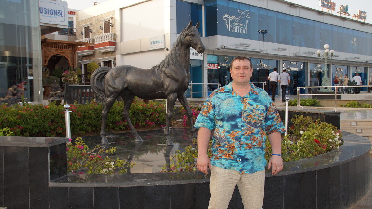 ���� 7477294 ������� �������, 48 ���, ���� ���������� � �������