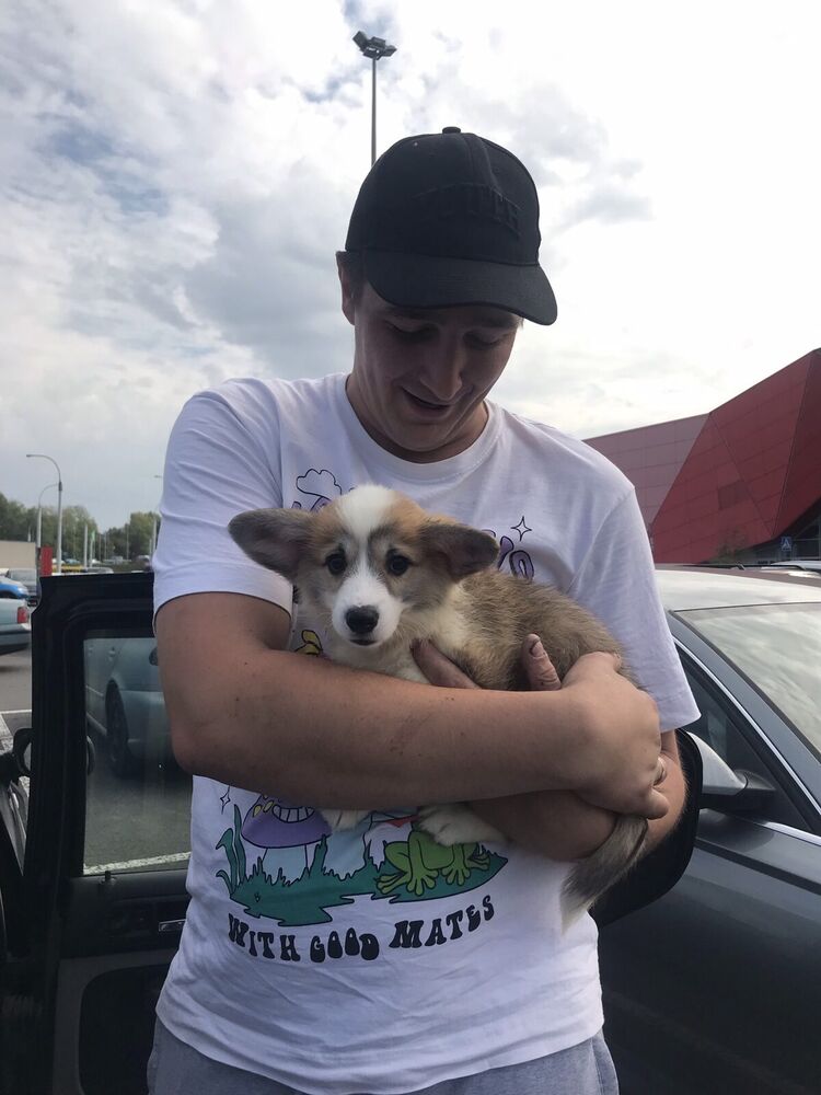 ���� 44713174 ������� �������, 28 ���, ���� ���������� � ������