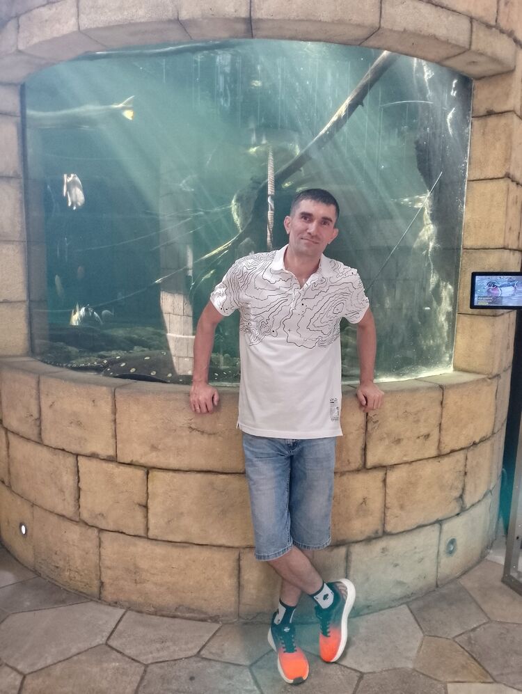 ���� 51384584 ������� �����, 41 ���, ���� ���������� � ��������