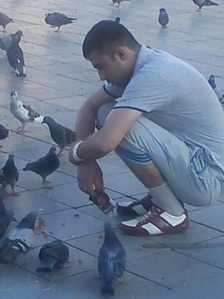 ���� 4853884 ������� ��������, 31 ���, ���� ���������� � �������