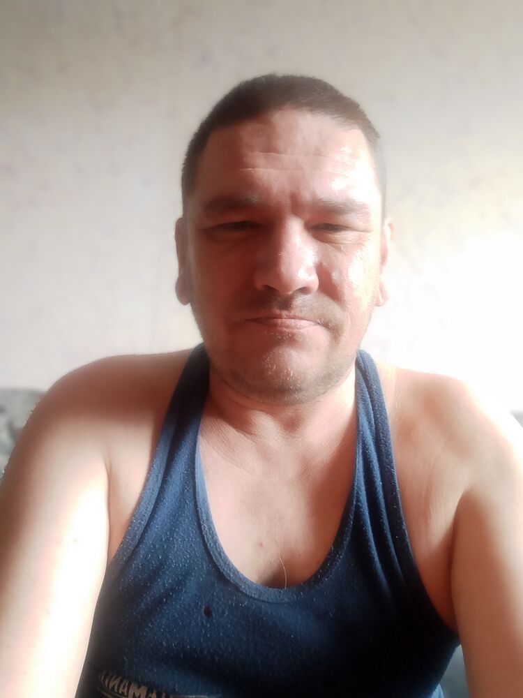  44619464  , 43 ,    