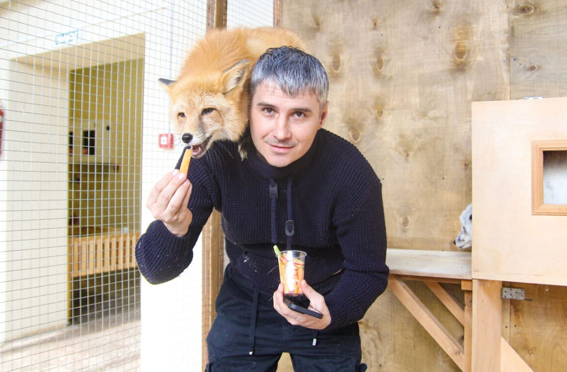 ���������� ����������, ���� ������� ������, 36 ���, ������������ ��� ������, ����� � ���������