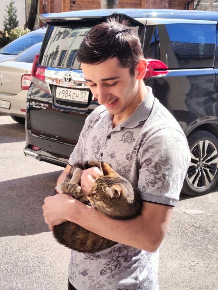 ���������� ������, ���� ����� ��������, 22 ����, ������������ ��� ������, ����� � ���������, c�������� ���������, ���������