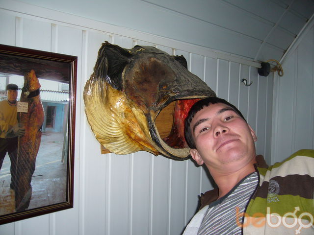 ���������� �����, ���� ������� Vital, 42 ����, ������������ ��� ����� � ���������, c�������� ���������