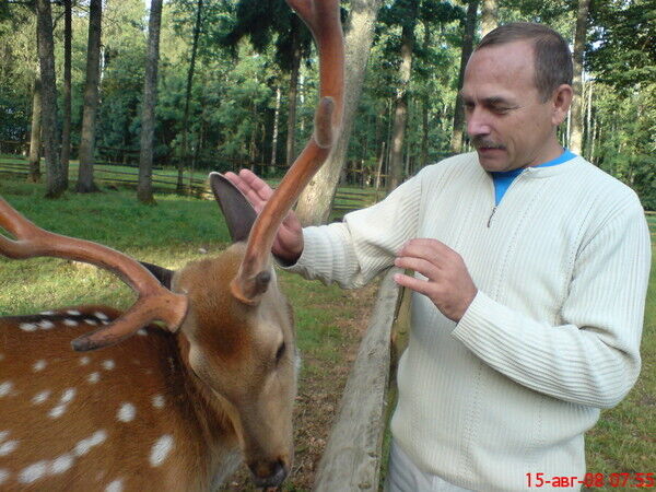 ���� 56118284 ������� Viktor, 70 ���, ���� ���������� � ��������