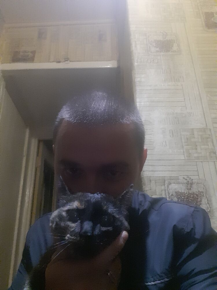  37250824  , 36 ,    